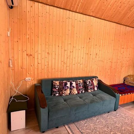 Eldos_Kolsai Villa Saty Bagian luar foto