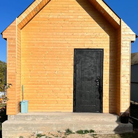 Eldos_Kolsai Villa Saty Bagian luar foto